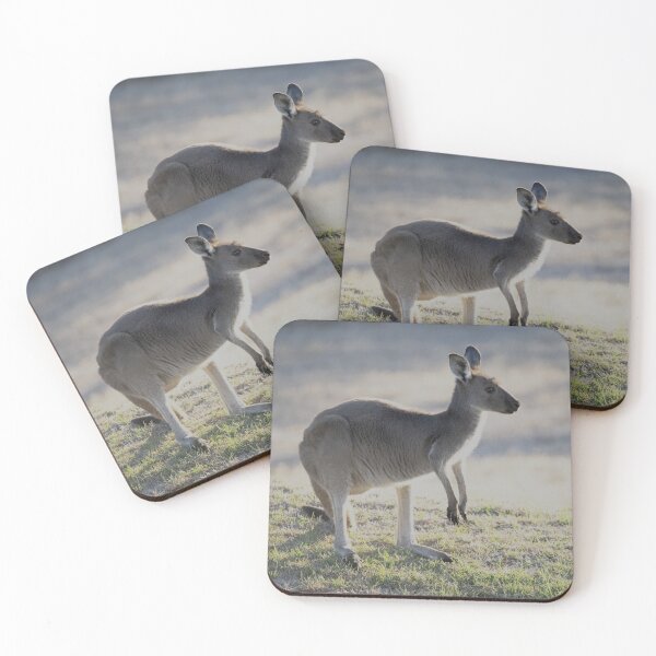 Item preview, Kangaroo grazing at Normanville designed and sold by imaginethis.