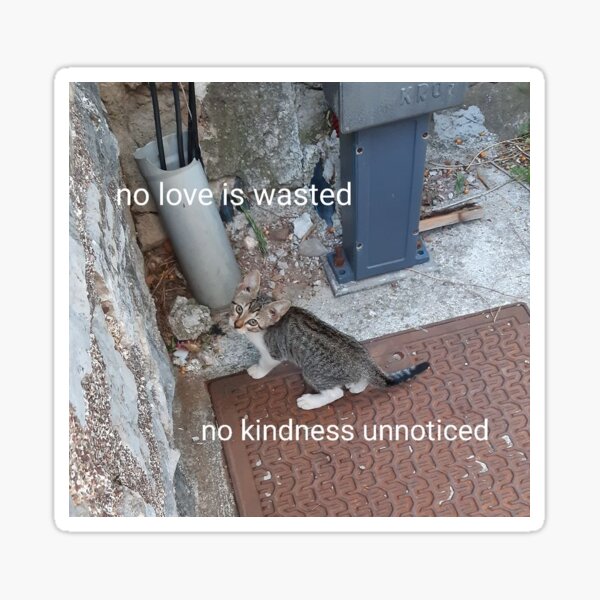 Item preview, kindness designed and sold by toadtopia.
