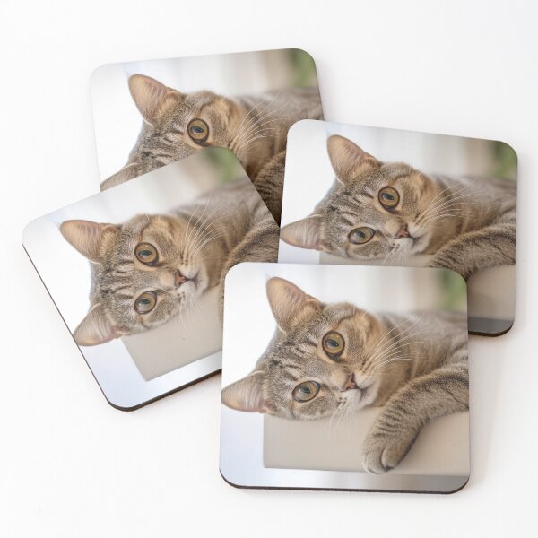 Item preview, Cat on a shelf in a bright room designed and sold by anytka.