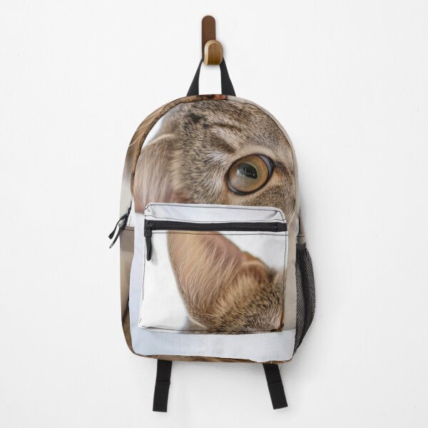 Item preview, Cat on a shelf in a bright room designed and sold by anytka.