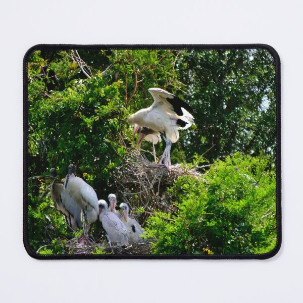 Item preview, Distant Wood Stork Rookery designed and sold by MercerImages.