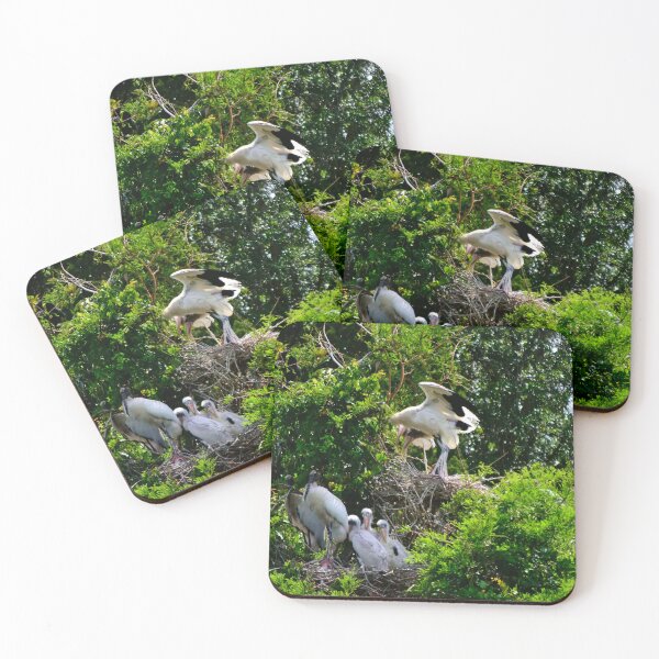 Item preview, Distant Wood Stork Rookery  designed and sold by MercerImages.