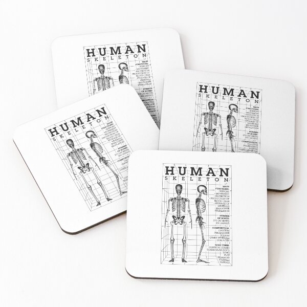 Item preview, Human Skeleton Anatomy Bones Diagram STEM Science Facts designed and sold by GrandeDuc.