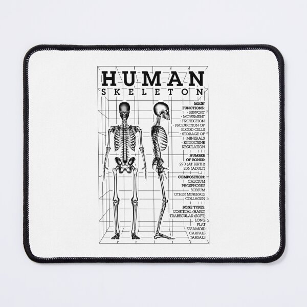 Item preview, Human Skeleton Anatomy Bones Diagram STEM Science Facts designed and sold by GrandeDuc.