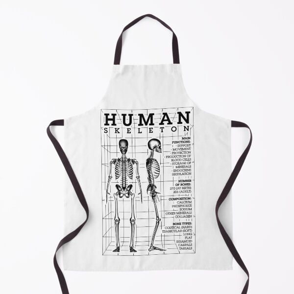 Item preview, Human Skeleton Anatomy Bones Diagram STEM Science Facts designed and sold by GrandeDuc.