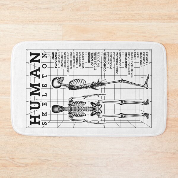Item preview, Human Skeleton Anatomy Bones Diagram STEM Science Facts designed and sold by GrandeDuc.
