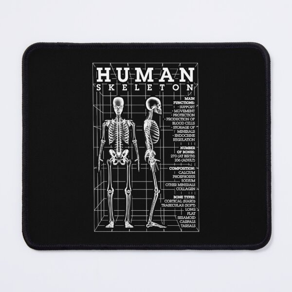 Item preview, Human Skeleton Anatomy Bones Diagram STEM Science Facts designed and sold by GrandeDuc.