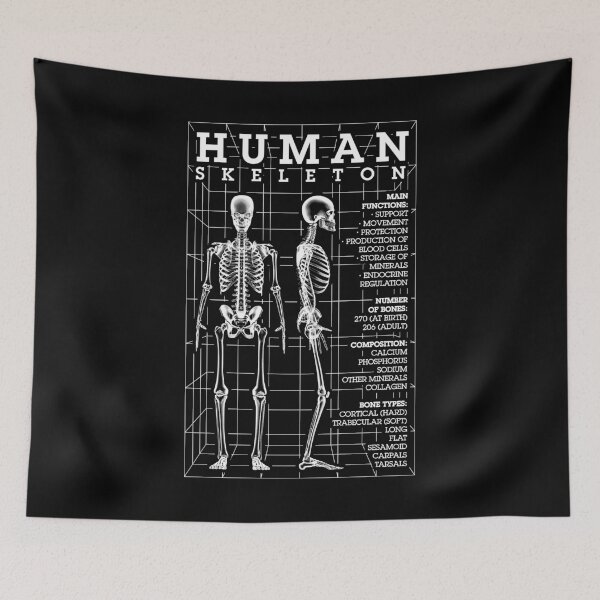Item preview, Human Skeleton Anatomy Bones Diagram STEM Science Facts designed and sold by GrandeDuc.