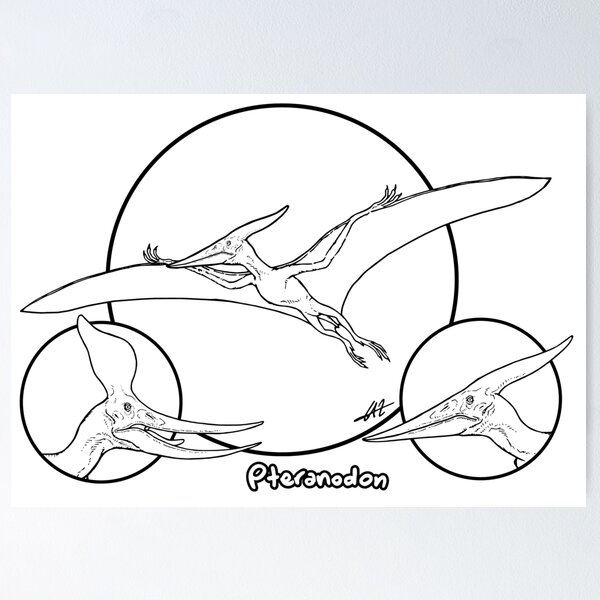 Item preview, Pteranodon - For Coloring! designed and sold by PaleoFantasies.