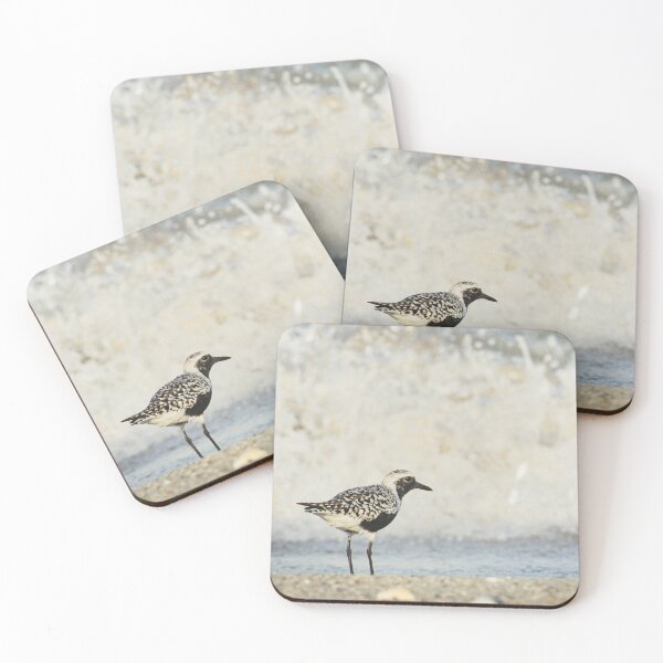 Item preview, Black-bellied Plover at the Edge of the Tide designed and sold by ShotsByJR.