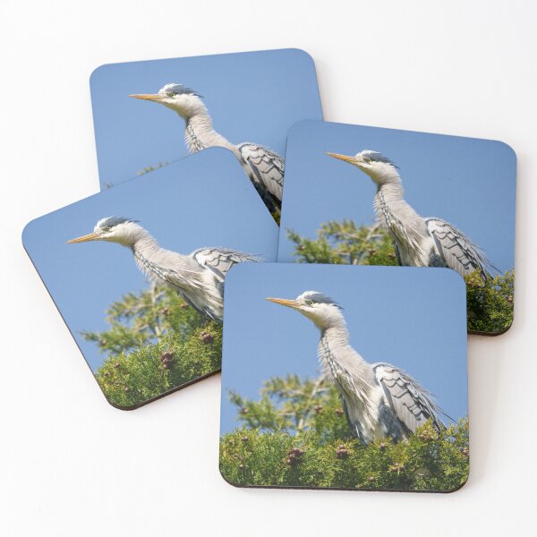 Item preview, Stunning Grey Heron Sitting on Tree with Fluffy Plumage designed and sold by rawshutterbug.