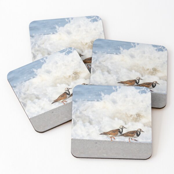 Item preview, Ruddy Turnstones at the Surf’s Edge designed and sold by ShotsByJR.