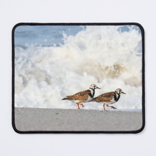 Item preview, Ruddy Turnstones at the Surf’s Edge designed and sold by ShotsByJR.