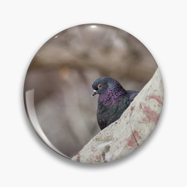 Item preview, Shadow Perch – Rock Pigeon Among the Stones” designed and sold by ShotsByJR.
