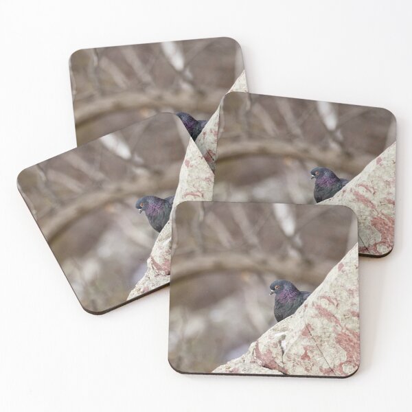 Item preview, Shadow Perch – Rock Pigeon Among the Stones” designed and sold by ShotsByJR.