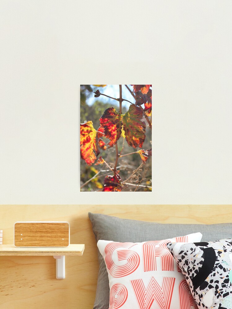 Thumbnail 2 of 3, Photographic Print, Tenerife 641 designed and sold by neandercol.
