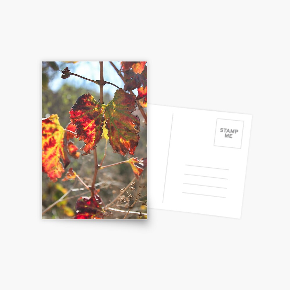 Item preview, Postcard designed and sold by neandercol.