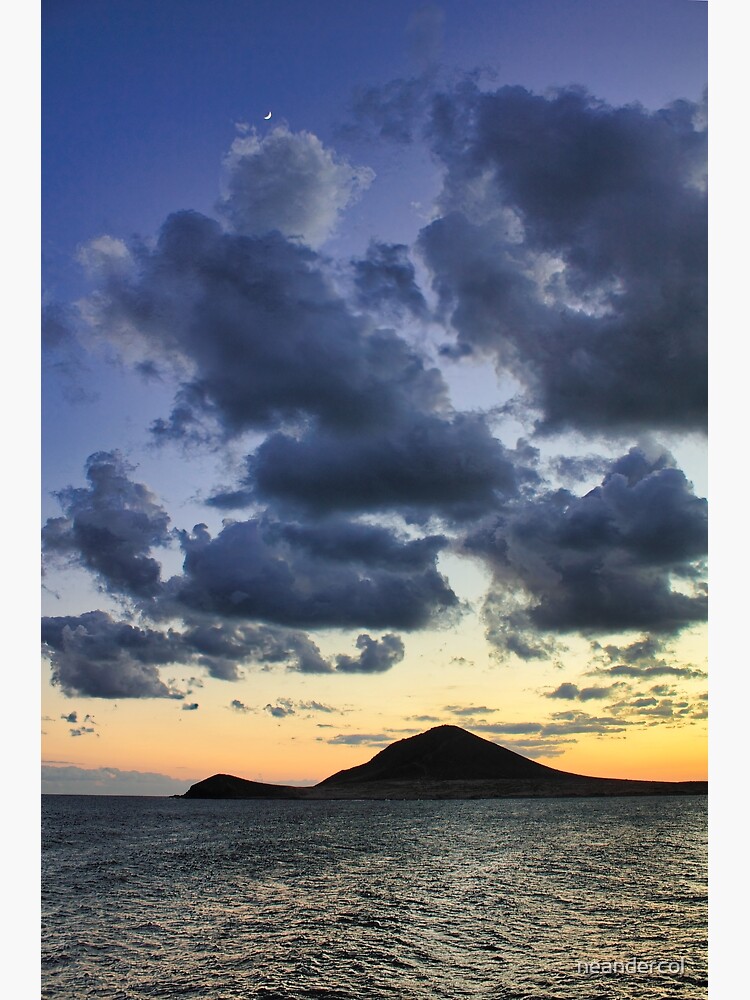 Thumbnail 3 of 3, Photographic Print, Tenerife 369 designed and sold by neandercol.