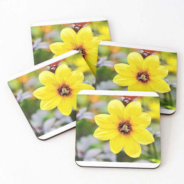 Item preview, Merck Dahlia with bee – colorful bloom and busy visitor designed and sold by beatbieri.ch.