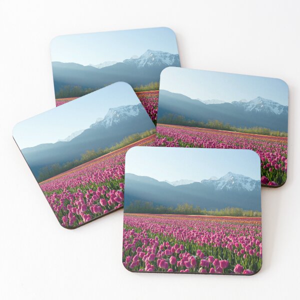 Item preview, Cultivated Tulip Field Fraser Valley Mount Cheam Peak designed and sold by Kevin Miller Photography.