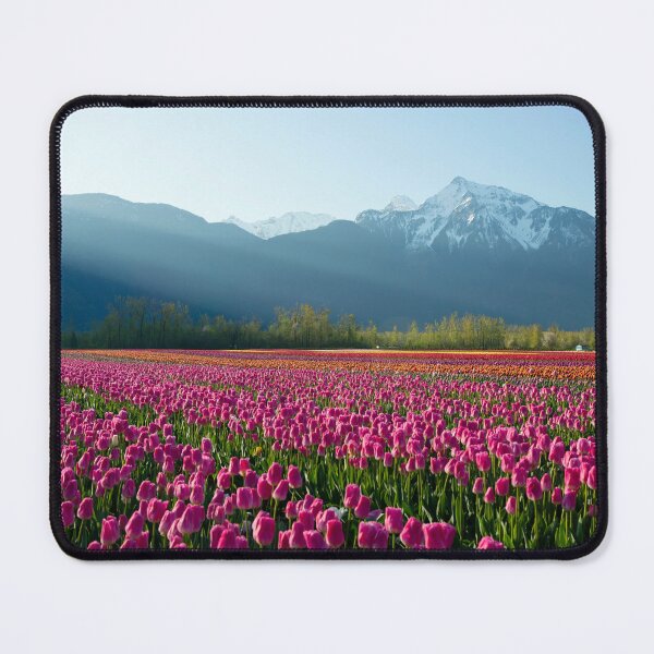 Item preview, Cultivated Tulip Field Fraser Valley Mount Cheam Peak designed and sold by Kevin Miller Photography.