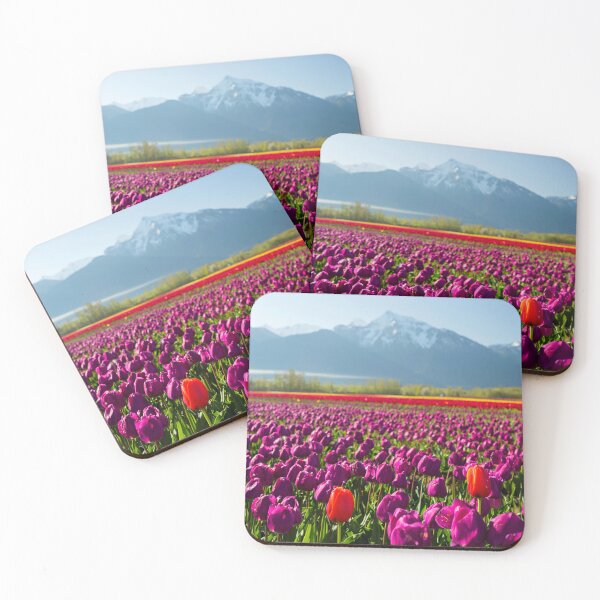 Item preview, Cultivated Tulip Field Fraser Valley Mount Cheam Peak designed and sold by Kevin Miller Photography.