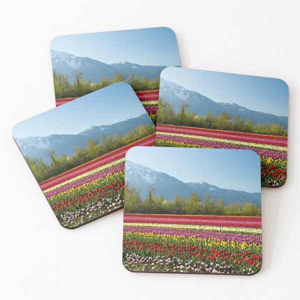 Item preview, Cultivated Tulip Field Fraser Valley Mount Cheam Peak designed and sold by Kevin Miller Photography.