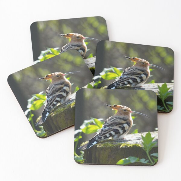 Item preview, Hoopoe – Exotic elegance with a striking crest designed and sold by beatbieri.ch.