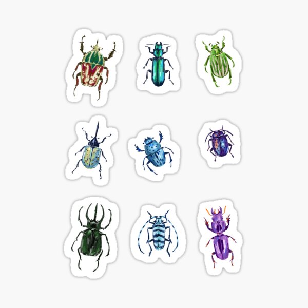 Item preview, Big Colorful Beetles Sticker Sheet designed and sold by CaillousArt.