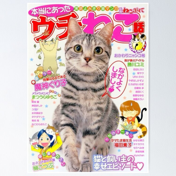 japanese cat magazine Sticker