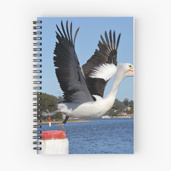 Item preview, Pelican taking off designed and sold by Doug Cliff.