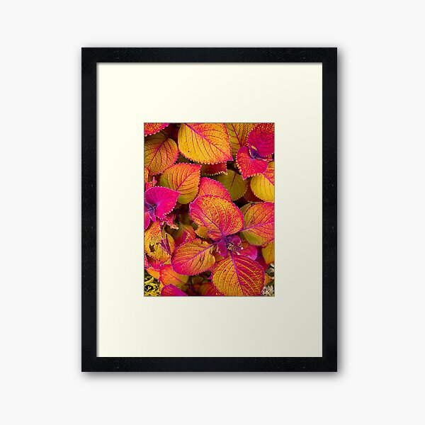 Item preview, Painted Nettles designed and sold by RJacobsonMedia.