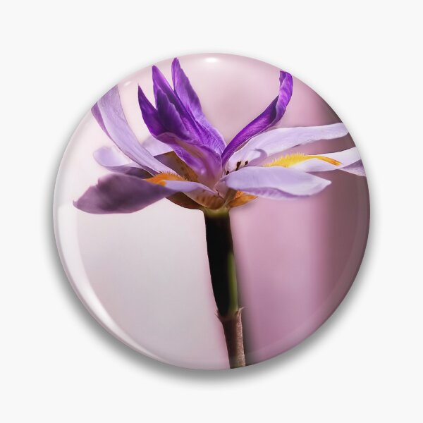 Item preview, African Iris In Mauve designed and sold by Kay Brewer.