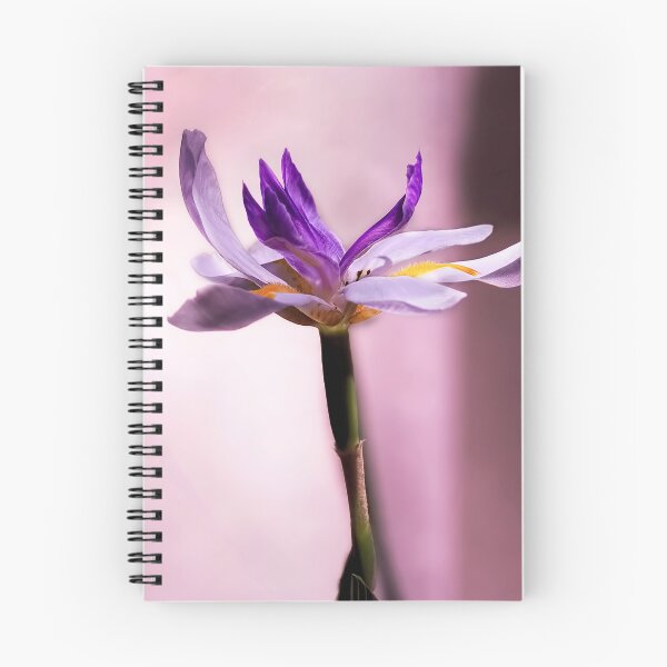 Item preview, African Iris In Mauve designed and sold by Kay Brewer.
