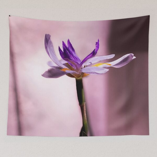 Item preview, African Iris In Mauve designed and sold by Kay Brewer.