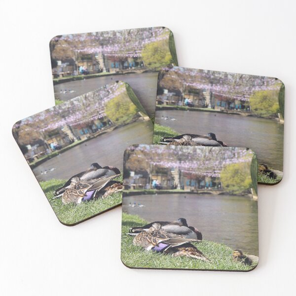 Item preview, let sleeping ducks lie designed and sold by Murph's Images.