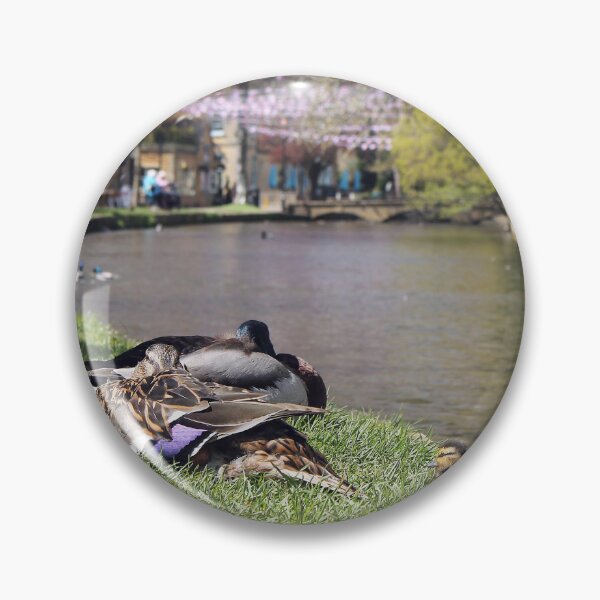 Item preview, let sleeping ducks lie designed and sold by Murph's Images.