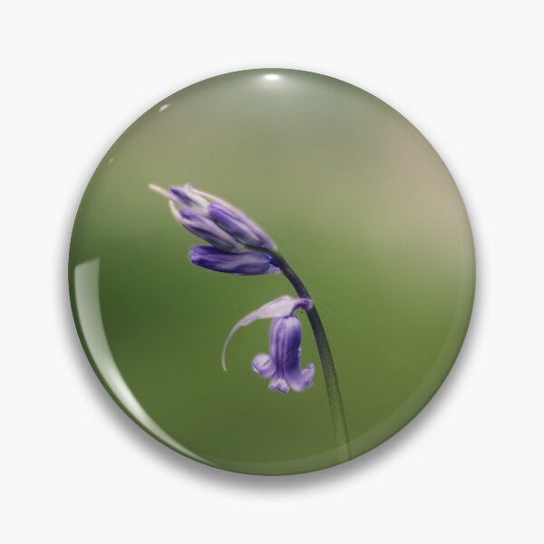 Item preview, Bluebell (2) designed and sold by ShinyPhoto.