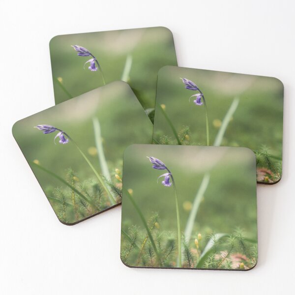 Item preview, Bluebell (2) designed and sold by ShinyPhoto.