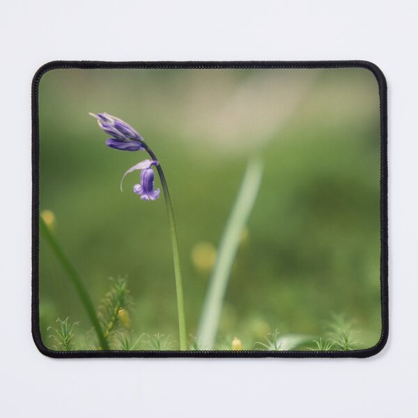Item preview, Bluebell (2) designed and sold by ShinyPhoto.