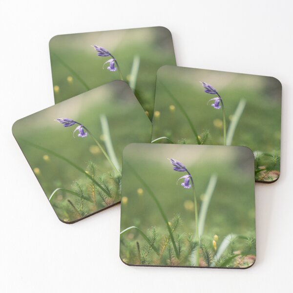 Item preview, Bluebell (1) designed and sold by ShinyPhoto.