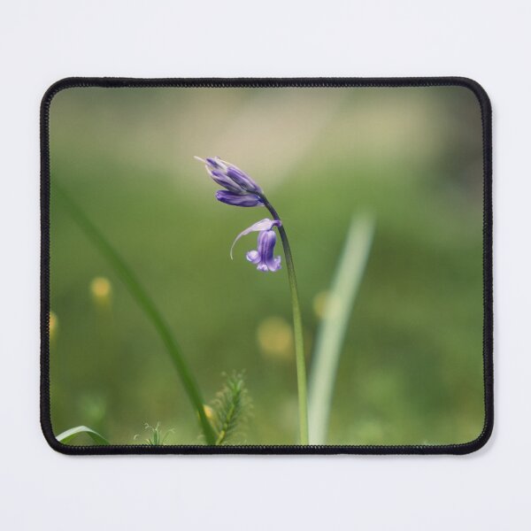 Item preview, Bluebell (1) designed and sold by ShinyPhoto.