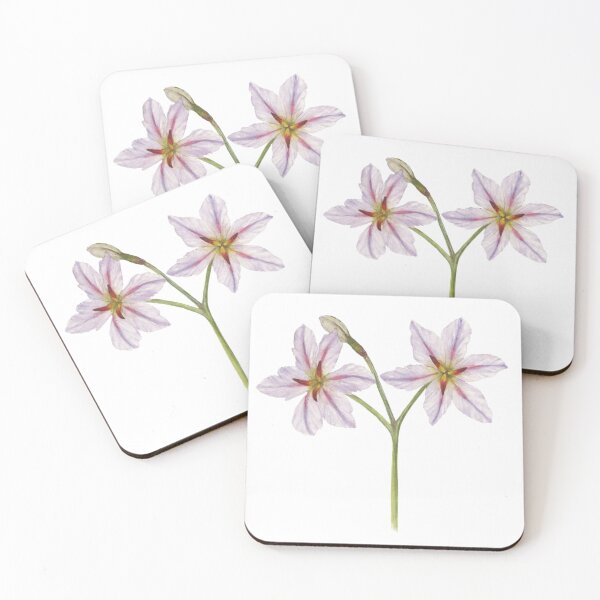 Item preview, Huilli, Native Flower designed and sold by BiotaSilvestre.