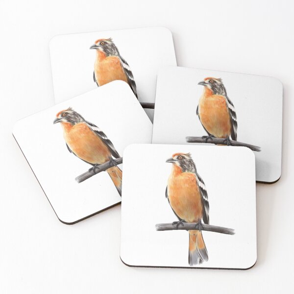 Item preview, Rare Native Chilean Bird designed and sold by BiotaSilvestre.