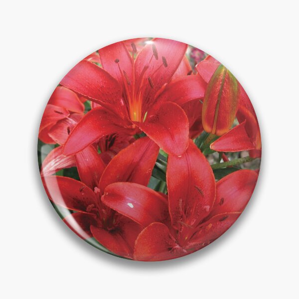 Item preview, Lovely Red Lilies Full Bloom Photo designed and sold by Here's To Endless Possibilities.