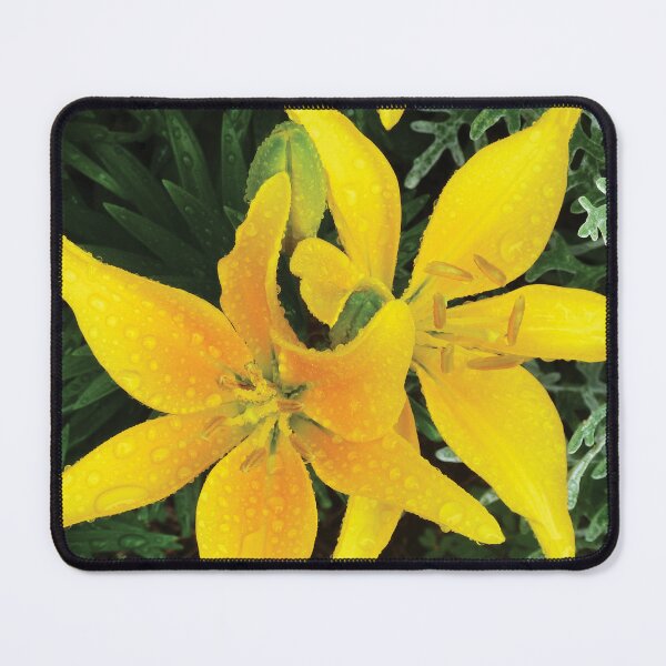 Item preview, Beautiful Bloom Yellow Spring Lilies in the Rain Photo designed and sold by Here's To Endless Possibilities.