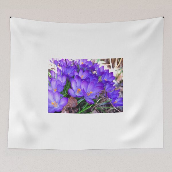 Item preview, Purple Crocus burst designed and sold by MarianBendeth.