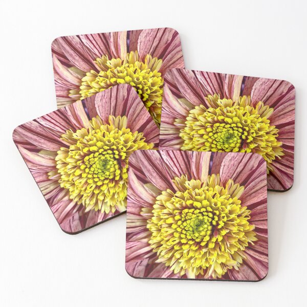 Item preview, All in the Details  designed and sold by Betsy Phillips.