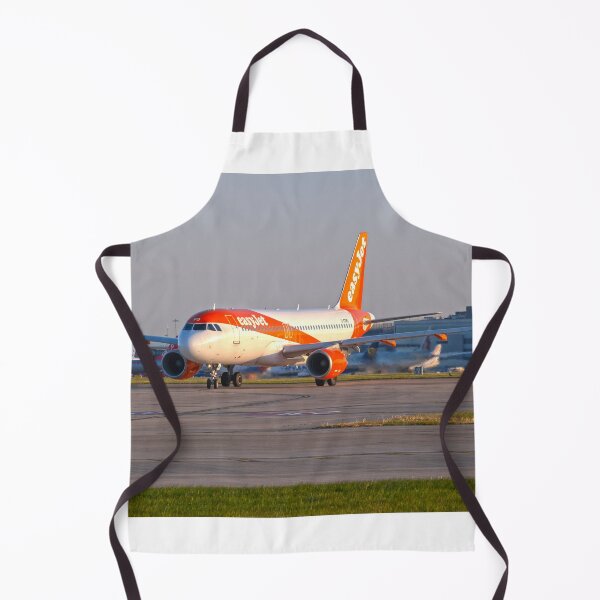 Item preview, easyJet Airbus A320-214 MAN to LYS designed and sold by Skyframe Aviation.