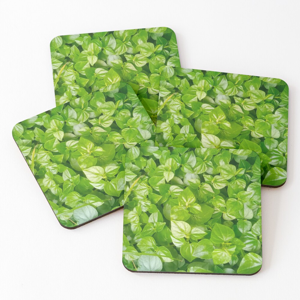 Item preview, Coasters (Set of 4) designed and sold by Ranikhan.
